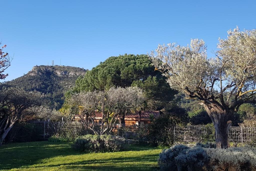 Sous Le Grand Pin Gites Eden En Cevennes Anduze Luaran gambar